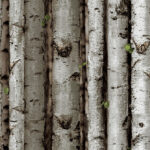 1641644821537_amazing5d-closeup5d-70020